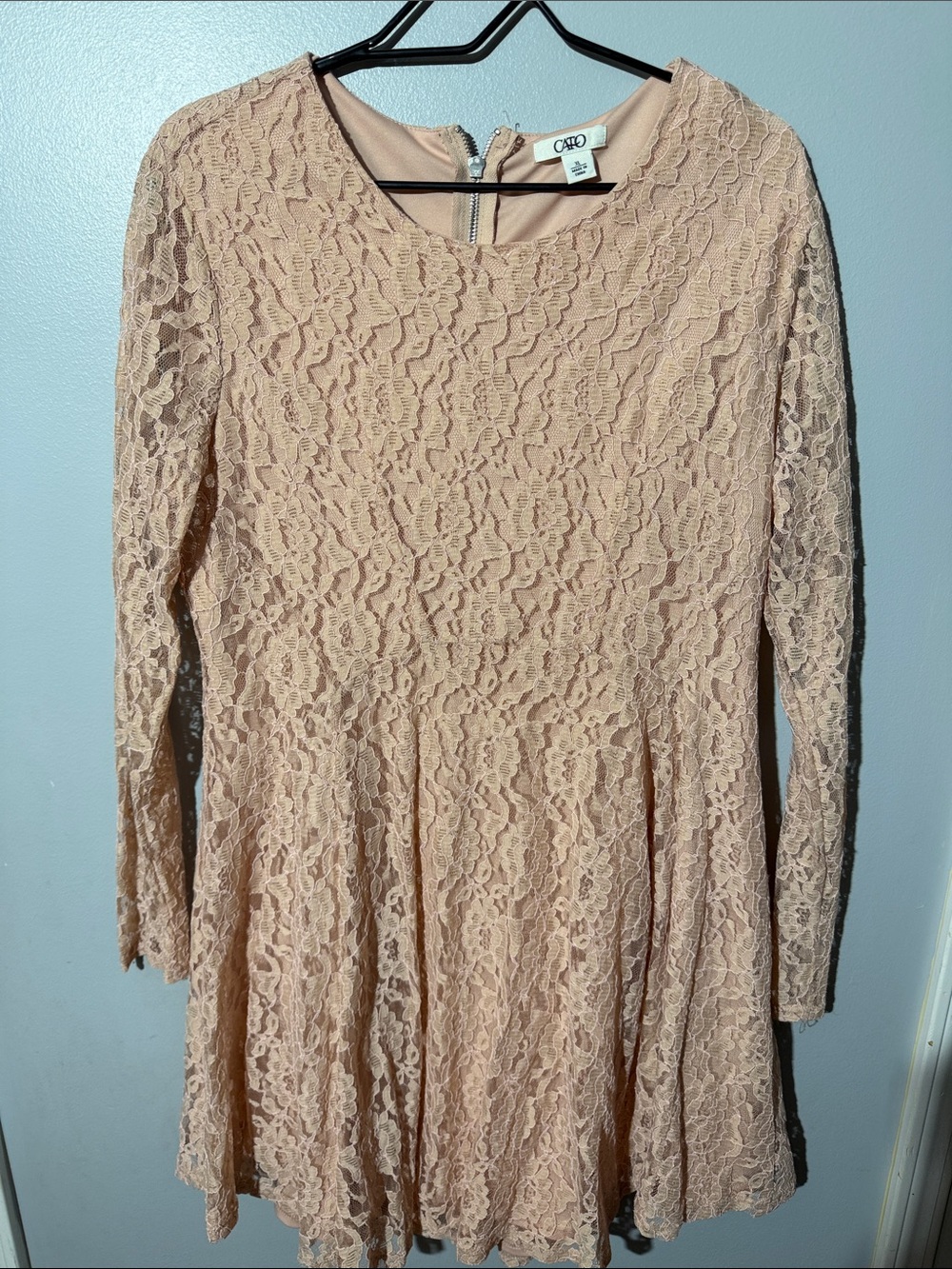 Cato Long-Sleeve Lace Skater Dress in Blush Pink